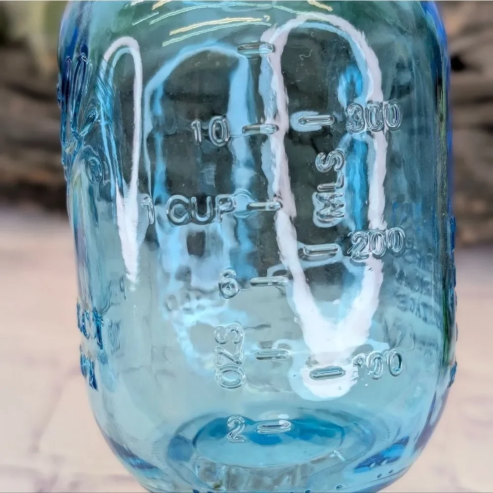Set of 2 Limited Edition Redneck Blue Mason Jar Hillbilly Wine Glass